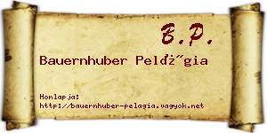 Bauernhuber Pelágia névjegykártya